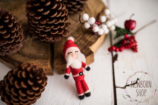 Mini Papai Noel Feltrado
